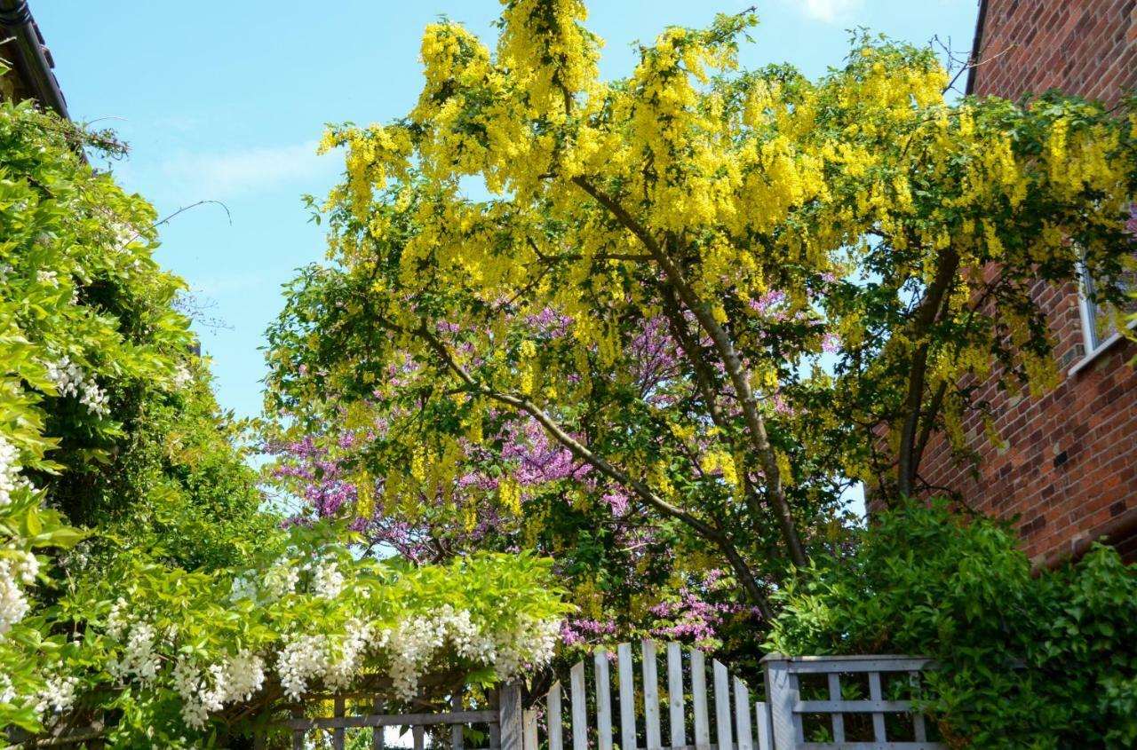 Grove Cottage ยาร์มัธ ภายนอก รูปภาพ
